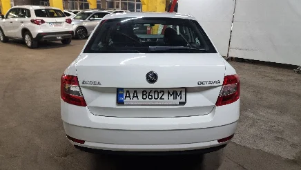 Skoda Octavia photo-13